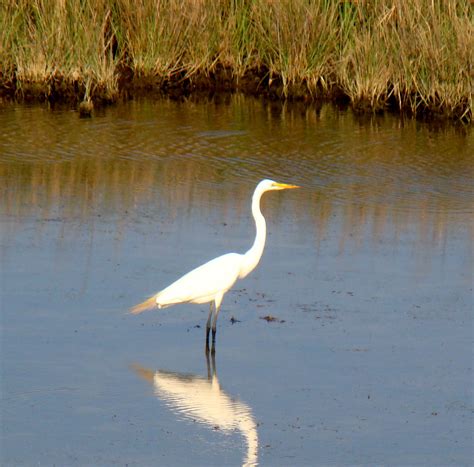 to return to Outer Banks main menu