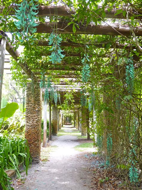 Oh How I Wish We Could Grow Jade Vine Here Gorgous Plant Arbor