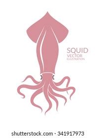 Parts Giant Squid Anatomy Illustrationready Use Stock Vector Royalty