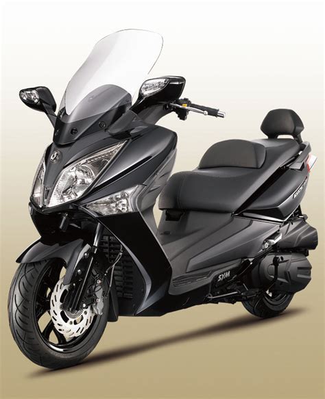 Motorrad Vergleich Sym GTS 300i 2015 Vs Sym Wolf CR 300i 2019