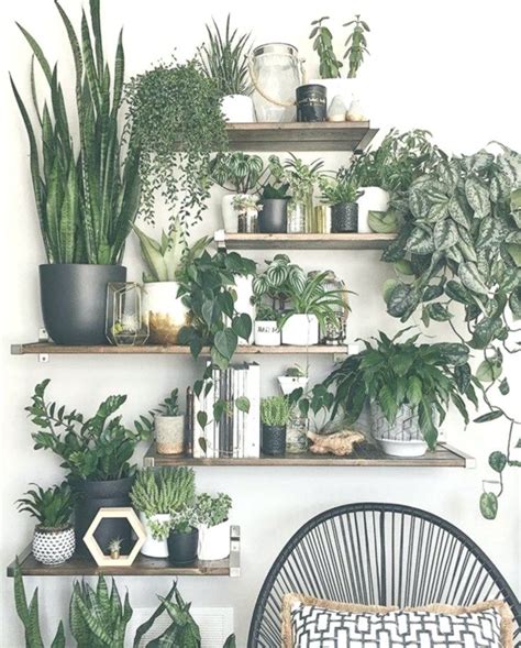 Amazing Wall Plants Decor F R Gem Tliches Wohnzimmer