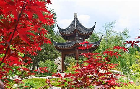 Red - Chinese Garden with Pagoda and lake. Photograph by Jamie Pham