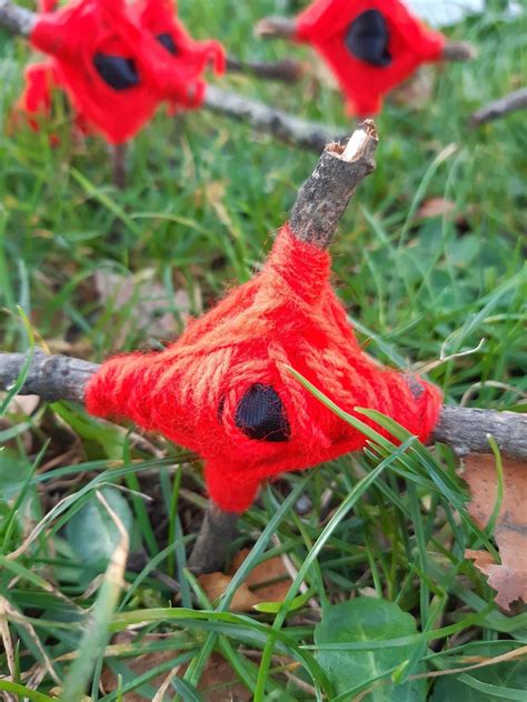 Pin By Hilary Lange On School Remembrance Day Activities Forest