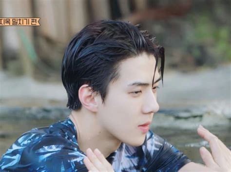 On Twitter Rt Hourlyohsehun Sehun Weareoneexo