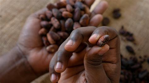 Lindt Sprüngli Schokolade ohne Kinderarbeit