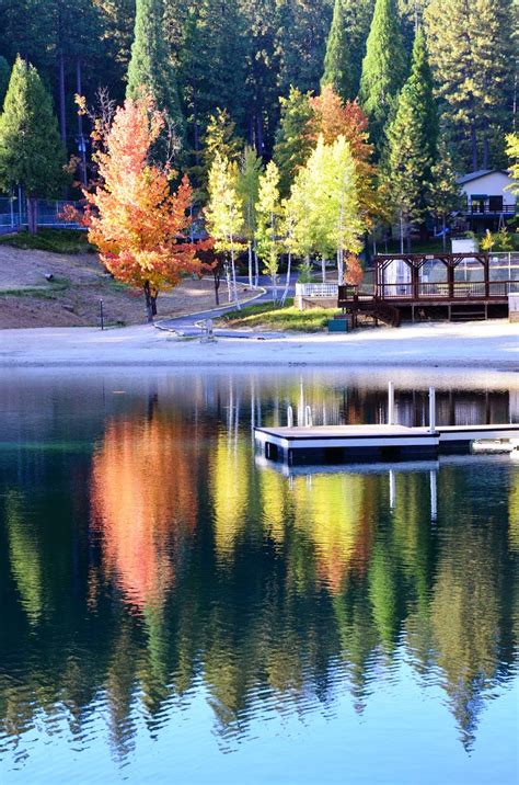 Sew'n Wild Oaks Quilting Blog: On Golden Pond