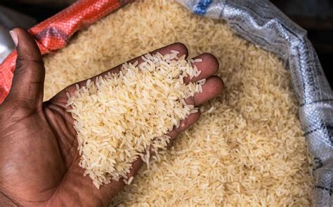 India Imposes Major Rice Export Ban Triggering Inflation Fears Report Az