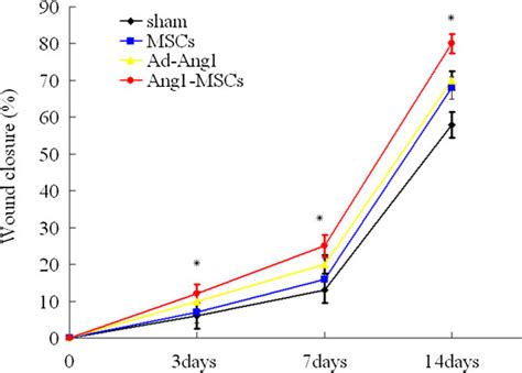 Angiopoietin 1 Gene Modified Bone Marrow Mesenchymal Stem Cells Promote