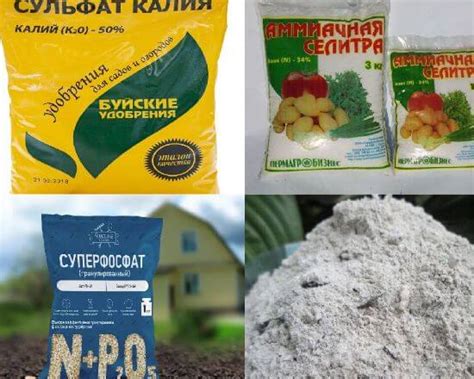 Аммиачная селитра для томатов. Способы применения.