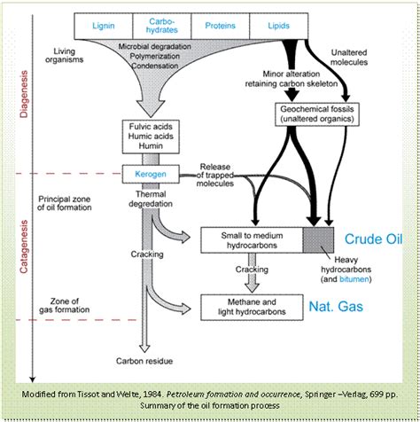 The formation of petroleum – Petroleum Refinery,Petroleum Equipment ...