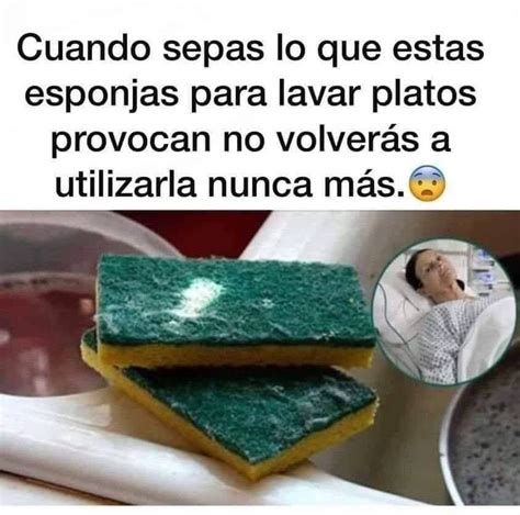 Novedades Y Algo Mas Sab As Que Las Esponjas Para Lavar Los Platos