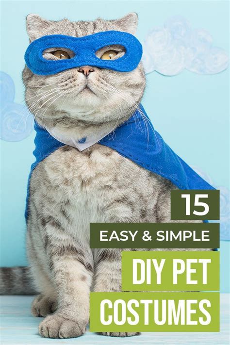 15 Easy & Simple DIY Pet Costumes | Cat costume diy, Diy pet costumes, Diy stuffed animals