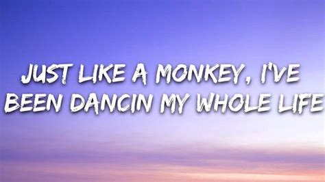 Lirik Lagu Dance Monkey Tones And I Lengkap Dengan Terjemahan Lagu