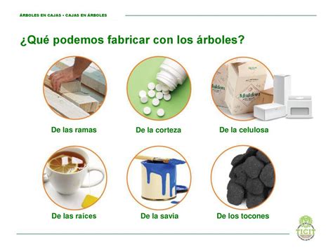 Details Qu Productos Se Obtienen De Los Rboles Abzlocal Mx