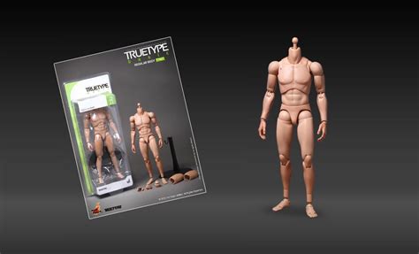TrueType Regular Body Sixth Scale Figure By Hot Toys Sideshow Collectibles