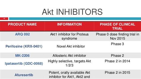 Akt (protein kinase)