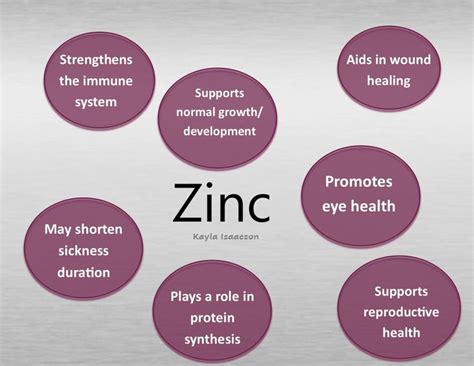 The Functions Of Zinc In The Body Go Far Beyond Immune Support In Fact