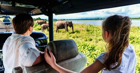 Mirissa Galle Transfer To Ella With Udawalawe Safari Getyourguide