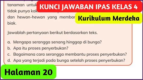 Soal And Kunci Jawaban Ipas Kelas 4 Sd Halaman 20 21 Mengapa Serangga