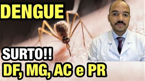 DF MG AC e PR têm os maiores índices de incidência de casos de dengue