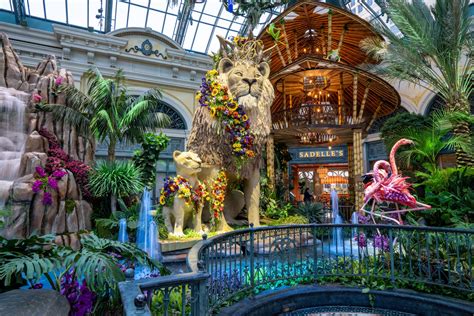 Inside Bellagio Conservatory and Botanical Garden - Vegas Kids Zone