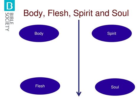 Ppt Spirit Soul Body Mind Powerpoint Presentation Free Download Id2016899