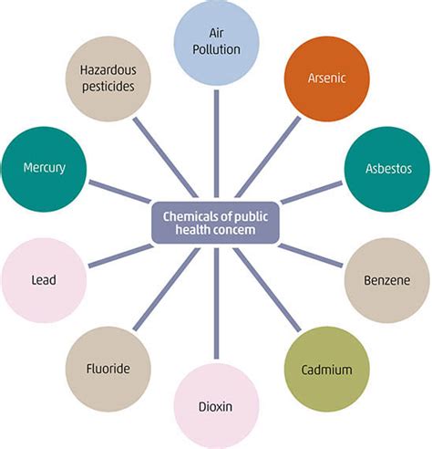 Soil Pollution And Risk To Human Health