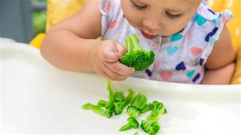 Baby Snacks: Nutritious and Delicious Options for Your Little One ...