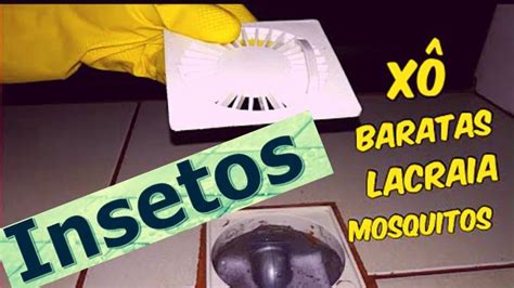 Como Se Proteger Contra Insetos Baratas Escorpi Es Ratos E Mosquito No