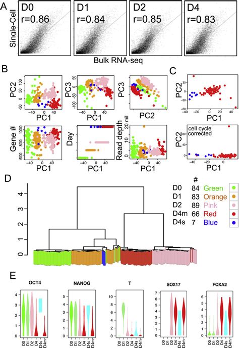 Single Cell Rna Seq Analysis Of Cells Undergoing De Differentiation A Download Scientific