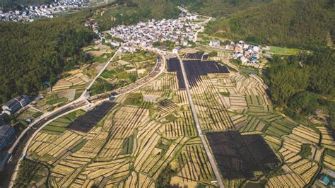 因地制宜谋发展 绘就乡村新画卷 今日黄岩