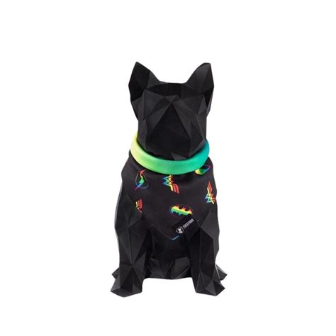 Bandana Para Cachorro Ou Gato Dc Comics Pride Oficial Tam M Submarino