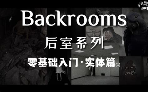 【backrooms后室】第11期 入坑必看基础知识介绍 实体篇 扎南橘 扎南橘 哔哩哔哩视频