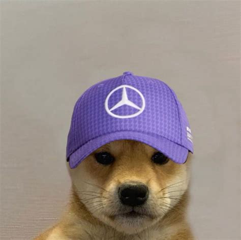 Mercedes F1 Dogwifhat Pfp