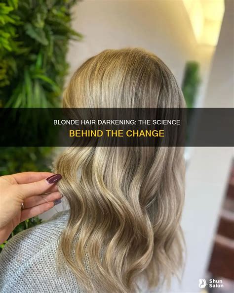 Blonde Hair Darkening The Science Behind The Change ShunSalon