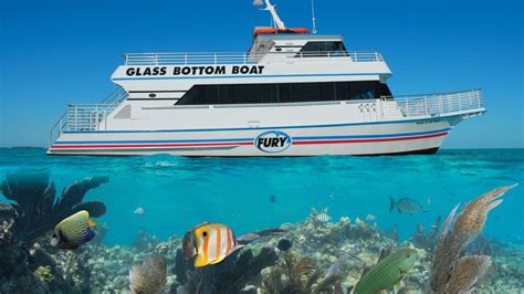 Glass Bottom Boat Tour