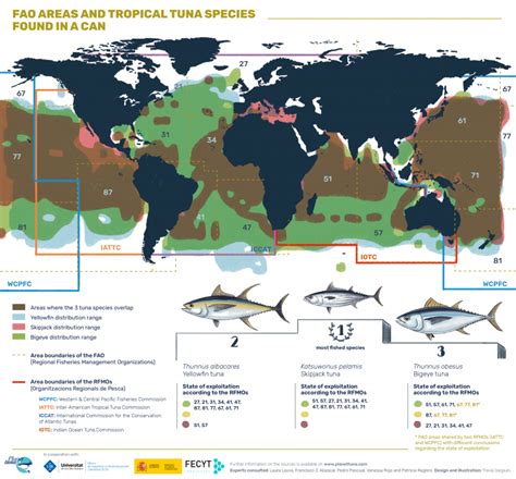 3 Mapa Zonas Fao Eng Planet Tuna