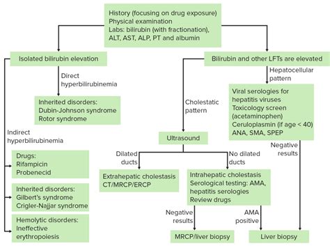 Jaundice Concise Medical Knowledge