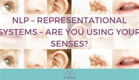 Nlp Representational Systems Are You Using Your Senses Fbook Cai