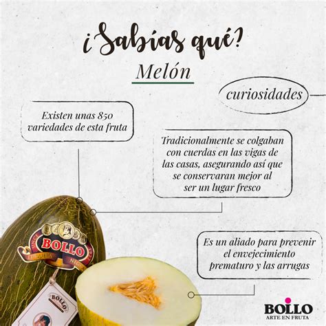 Sabías qué Melón piel de sapo Frutas Bollo