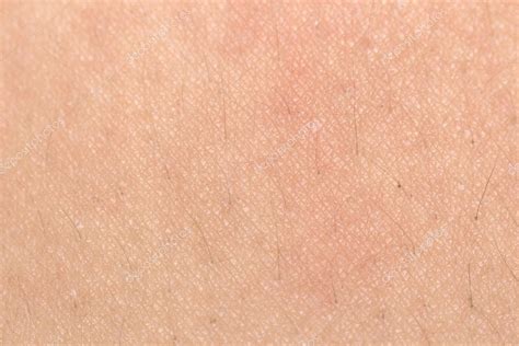 Human Skin Texture With Black Hairs On The Skin For Healthy Back