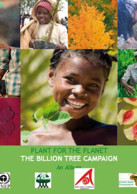 Plant For The Planet The Billion Tree Campaign Unep Un Environment