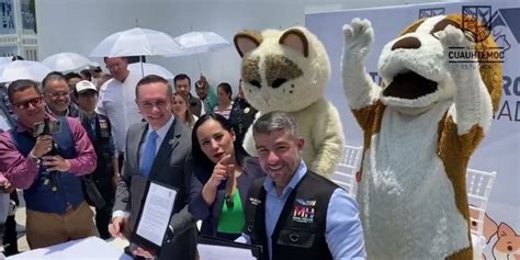 Inaugurado El Primer Hotel Para Perros Y Gatos Abandonados