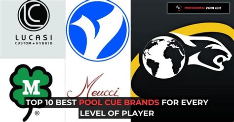 Top 10 Best Pool Cue Brands for Every Level of Player - Professional ...