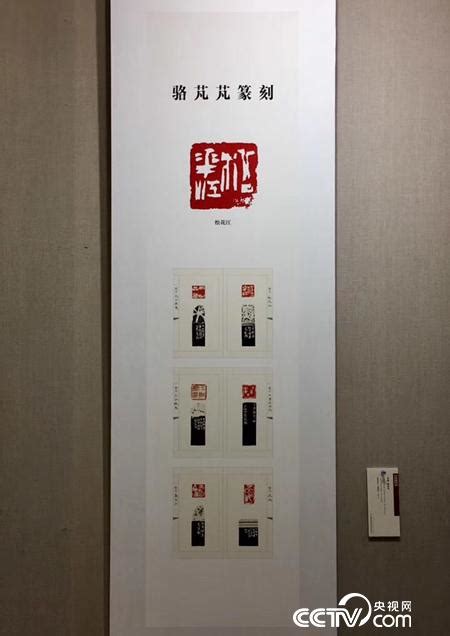 第二届骆芃芃师生篆刻书法艺术展在长春举行央博央视网