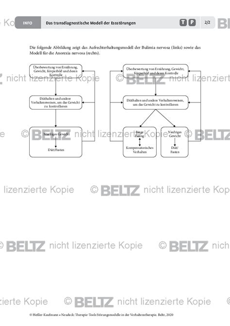 St Rungsmodelle Das Transdiagnostische Modell Der Essst Rungen