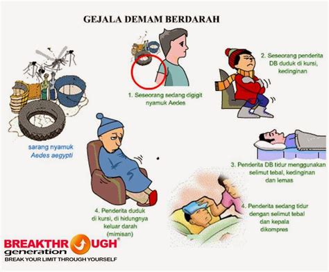 1st Step In Understanding The Body Penyakit Demam Berdarah Dbd