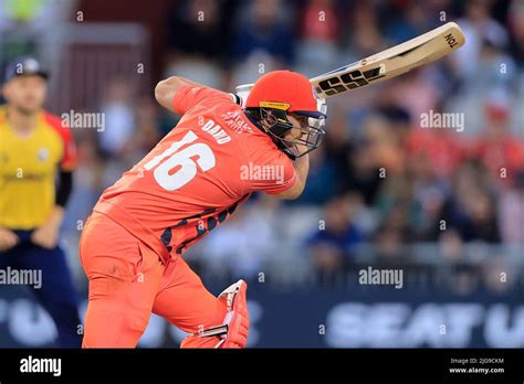 Tim David Cricket Vitality Blast Hi Res Stock Photography And Images