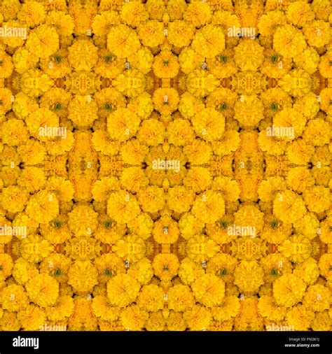 Marigold seamless pattern background Stock Photo - Alamy