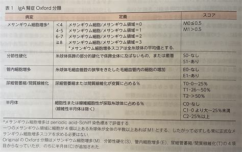 腎生検 Iga腎症組織学的分類 女医がiga腎症になりました